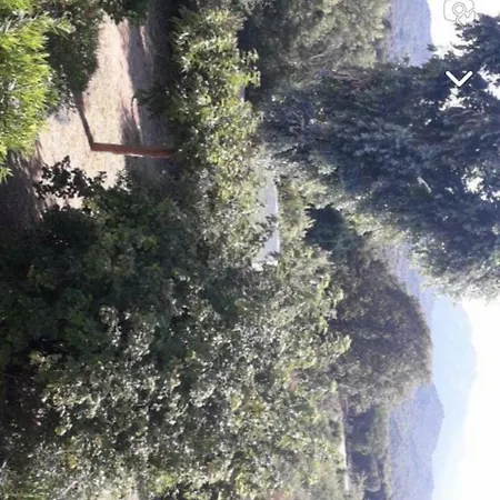 Lägenhet Corse Bord De Calcatoggio (Corsica)