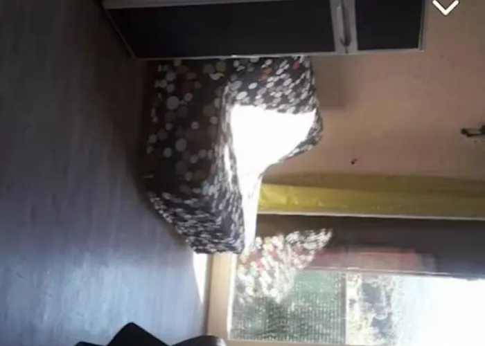 Appartement Corse Bord De